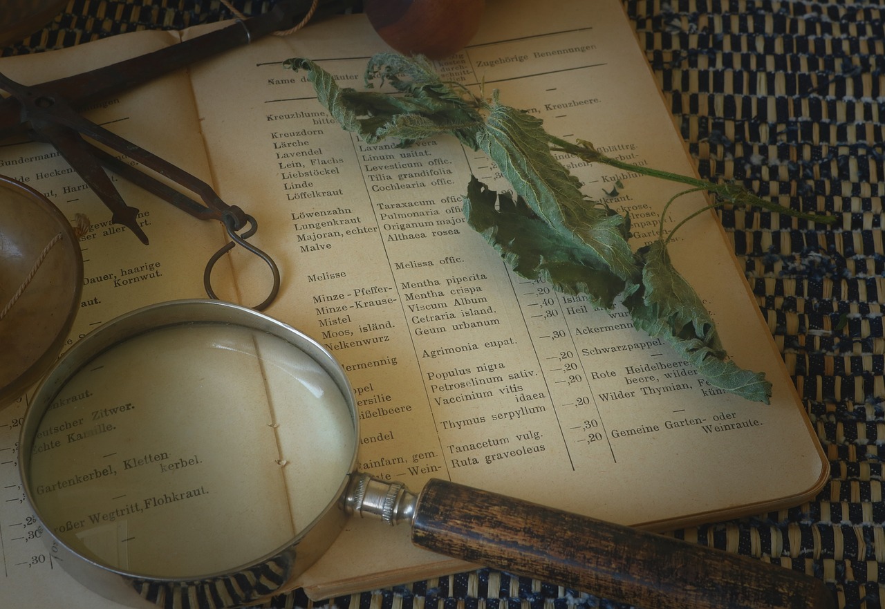 Consultations de Naturopathie